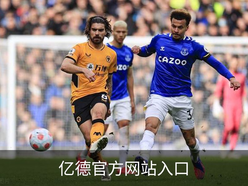了解亿德官方网站入口